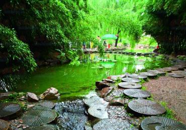 竹泉村,萤光湖,蝴蝶谷,天马岛 二日游