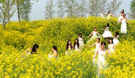兴化 油菜花 千垛菜花 李中水上森林 一日游