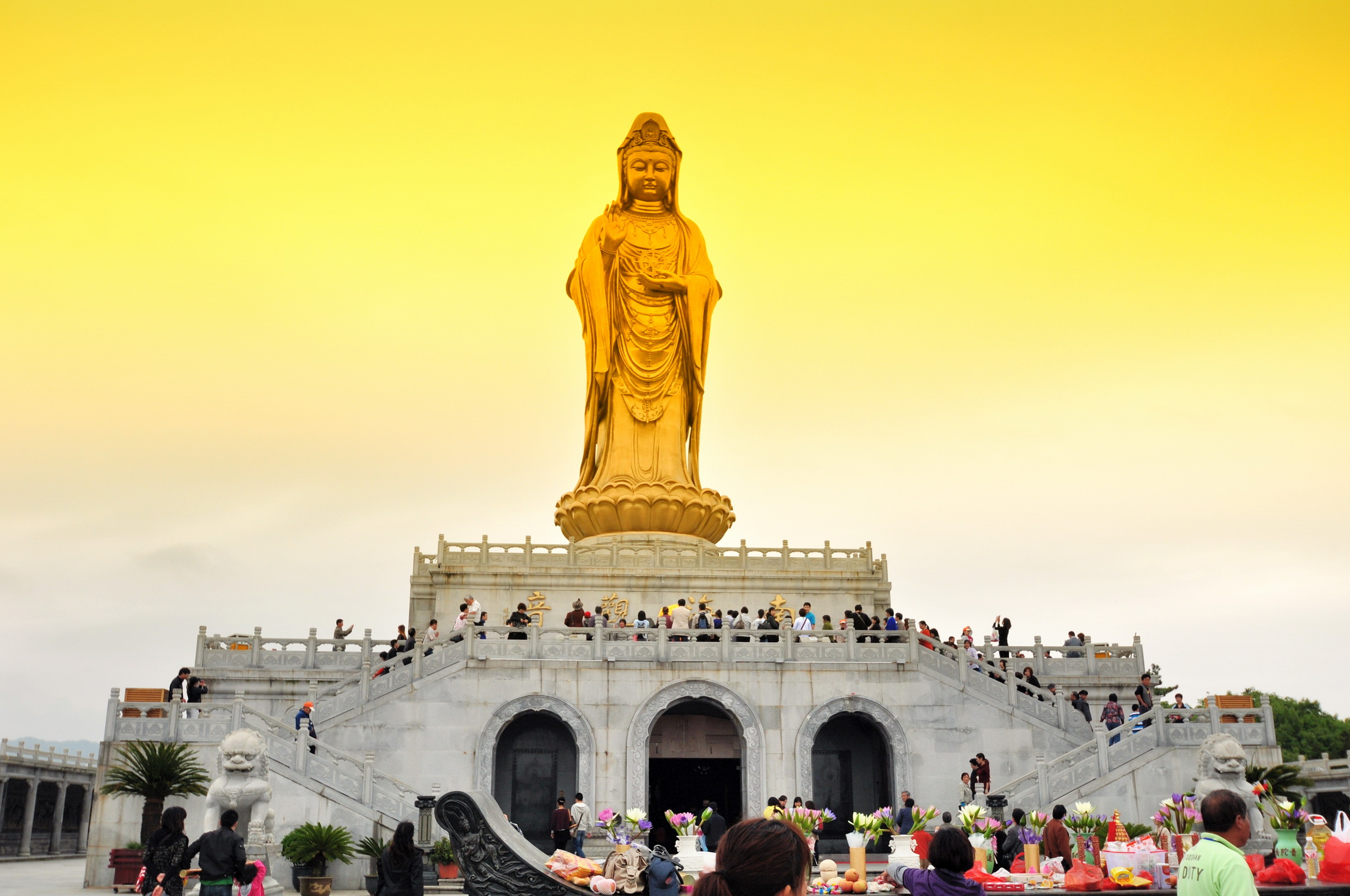 乌镇,普陀山,西湖,西溪湿地 三日游