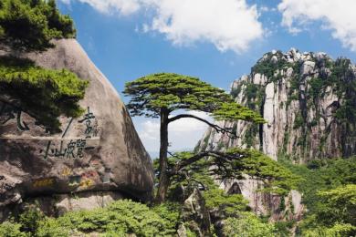 黄山,观日出,芙蓉谷,屯溪老街,五星纯玩品质 三日游